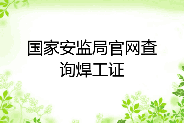 国家安监局官网查询焊工证