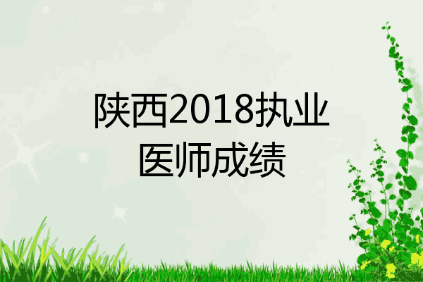 陕西2018执业医师成绩