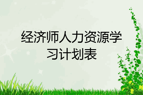 经济师人力资源学习计划表