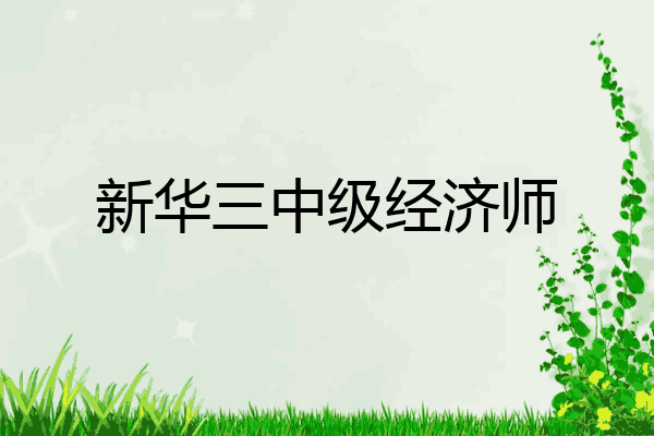 新华三中级经济师