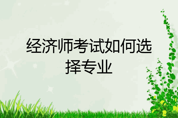 经济师考试如何选择专业