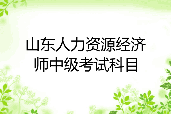 山东人力资源经济师中级考试科目