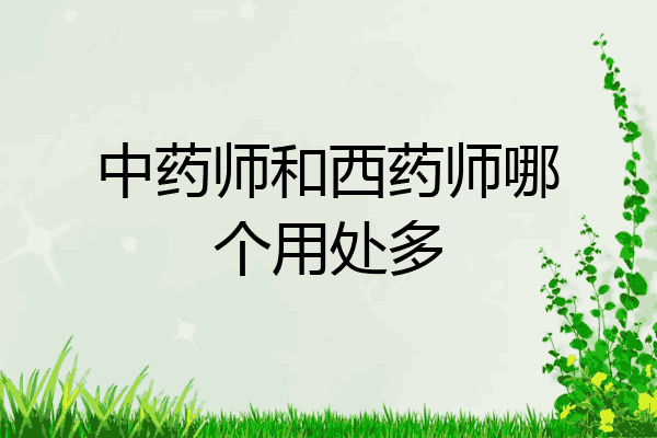 中药师和西药师哪个用处多