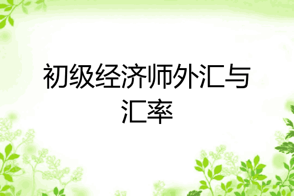 初级经济师外汇与汇率
