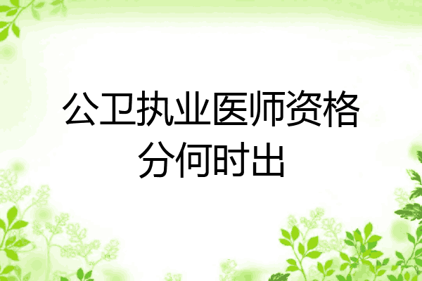 公卫执业医师资格分何时出
