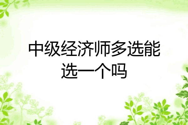 中级经济师多选能选一个吗