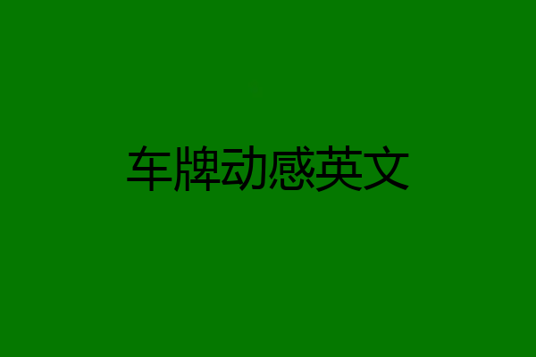 车牌动感英文