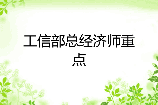 工信部总经济师重点