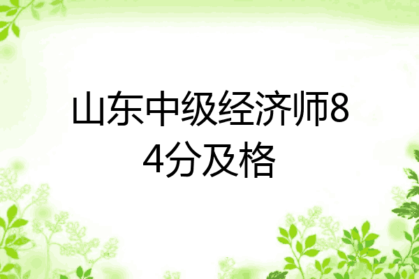 山东中级经济师84分及格