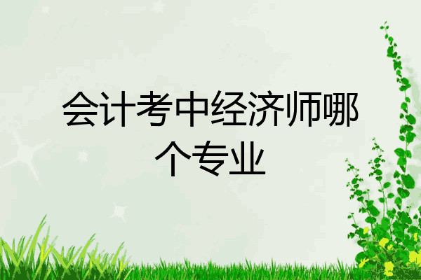 会计考中经济师哪个专业
