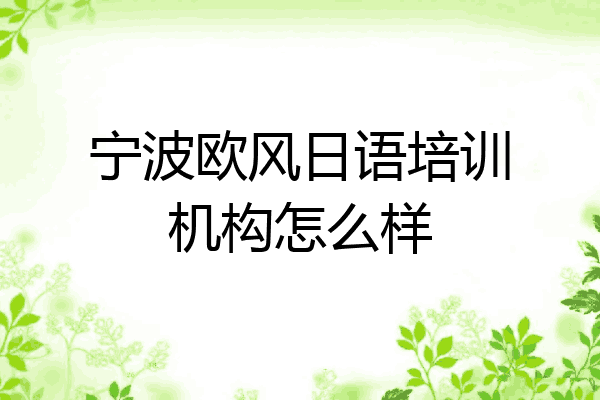 宁波欧风日语培训机构怎么样