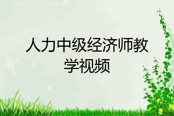 人力中级经济师教学视频