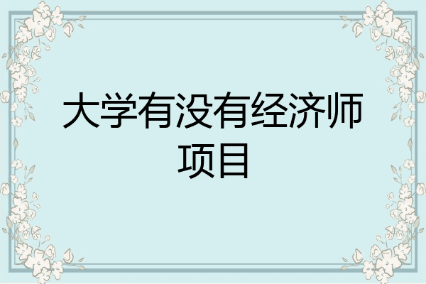 大学有没有经济师项目