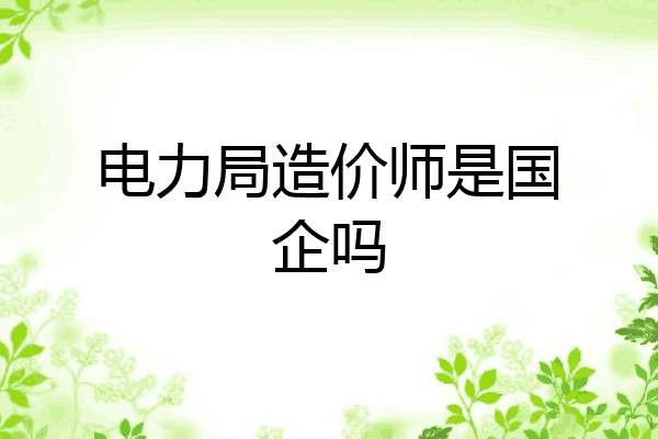 电力局造价师是国企吗