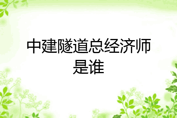 中建隧道总经济师是谁