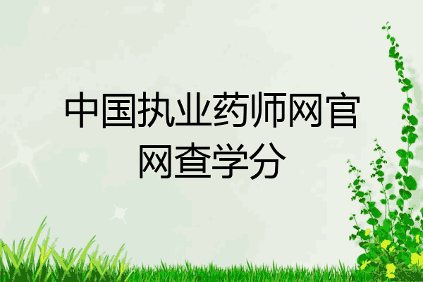中国执业药师网官网查学分