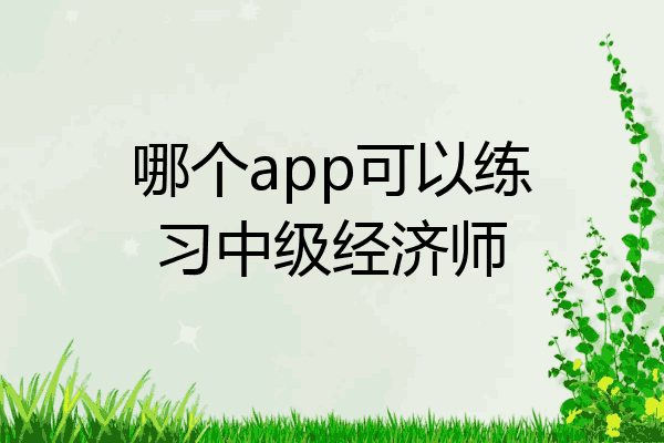 哪个app可以练习中级经济师