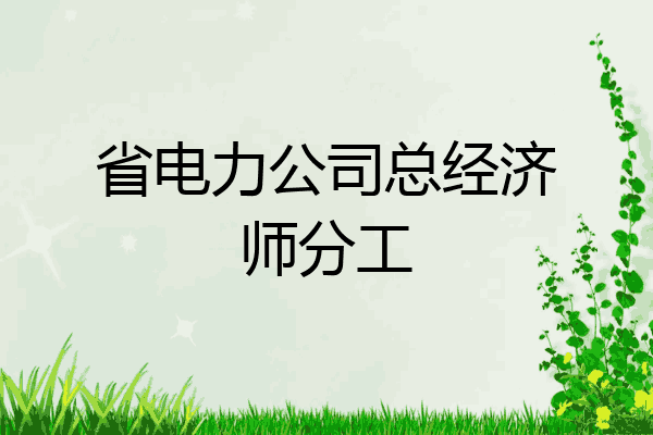 省电力公司总经济师分工