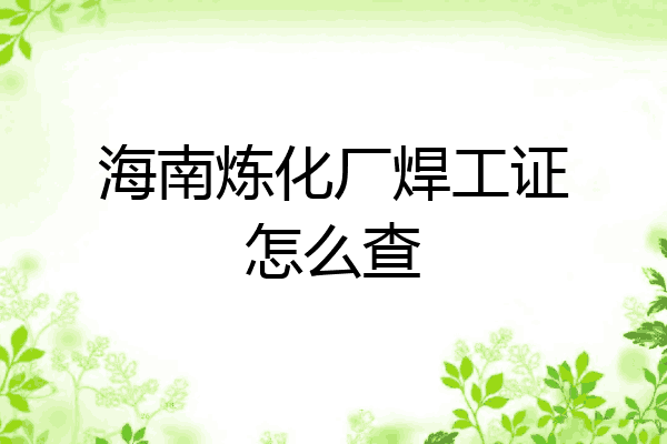 海南炼化厂焊工证怎么查