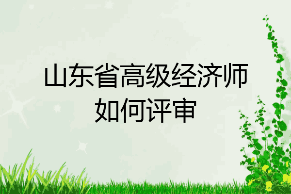 山东省高级经济师如何评审