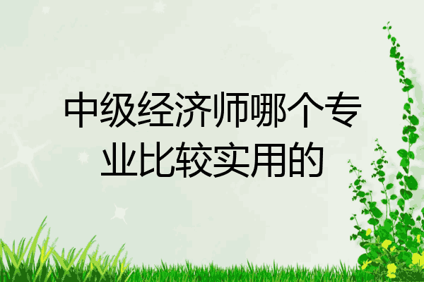 中级经济师哪个专业比较实用的