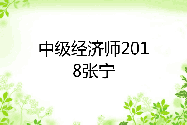 中级经济师2018张宁