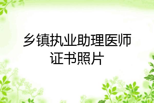 乡镇执业助理医师证书照片