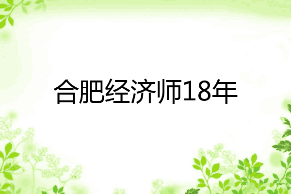 合肥经济师18年