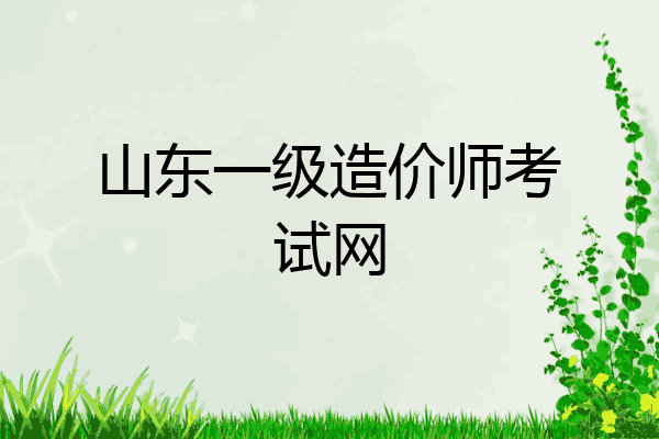 山东一级造价师考试网