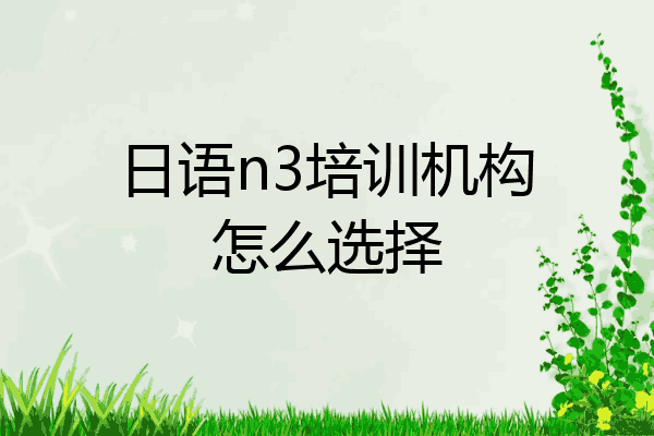 日语n3培训机构怎么选择