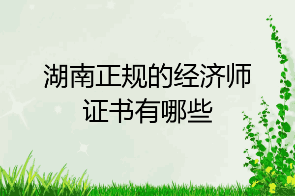 湖南正规的经济师证书有哪些