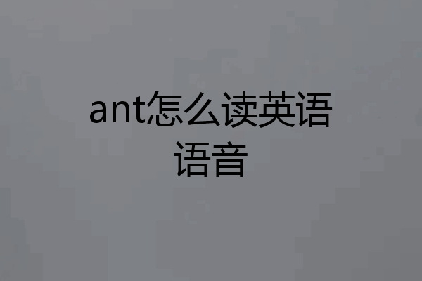 ant怎么读英语语音