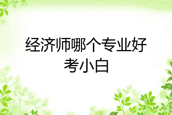 经济师哪个专业好考小白