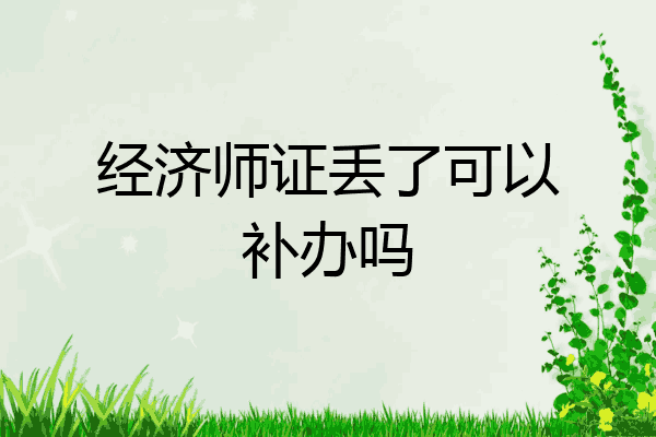 经济师证丢了可以补办吗