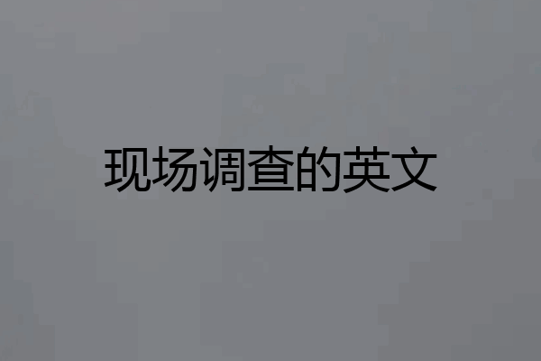 现场调查的英文