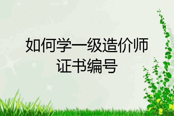如何学一级造价师证书编号