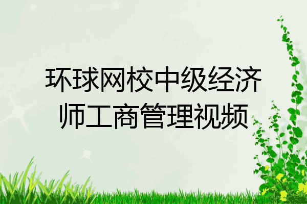 环球网校中级经济师工商管理视频