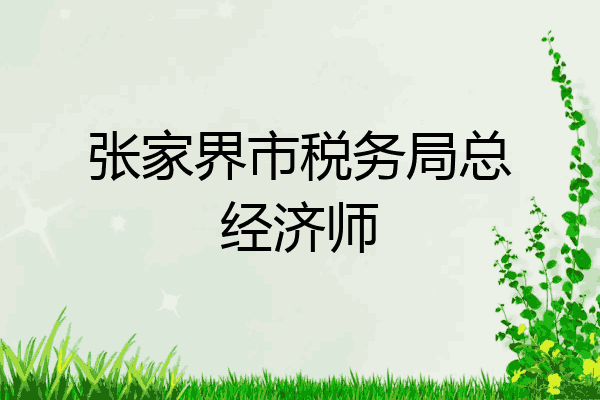 张家界市税务局总经济师