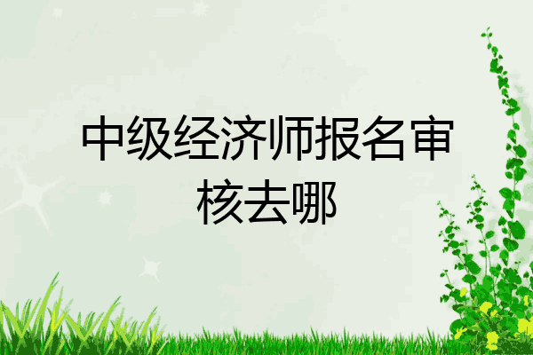 中级经济师报名审核去哪