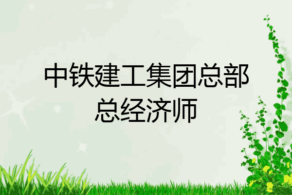 中铁建工集团总部总经济师