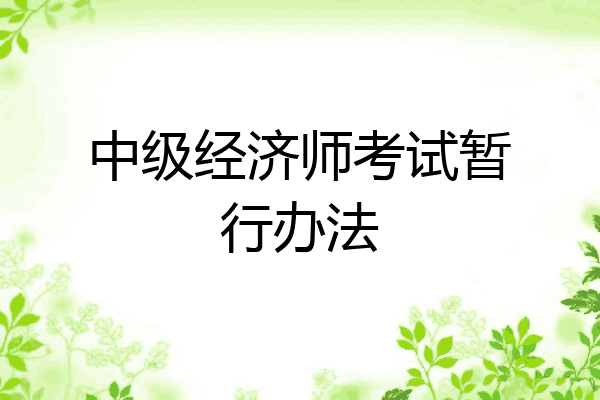 中级经济师考试暂行办法