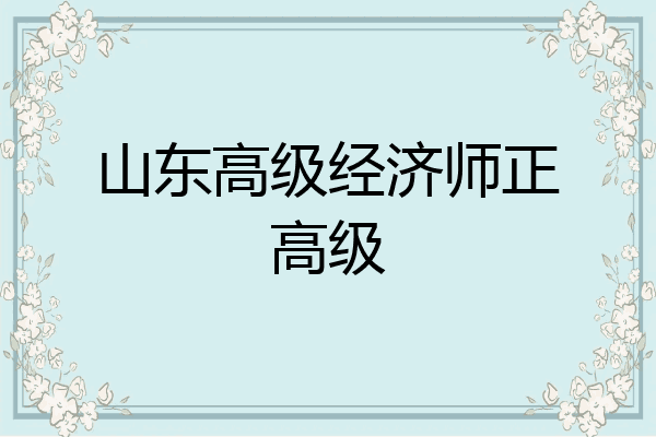 山东高级经济师正高级