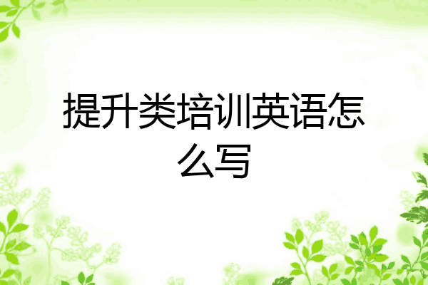 提升类培训英语怎么写