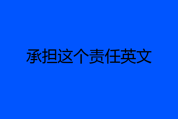 承担这个责任英文