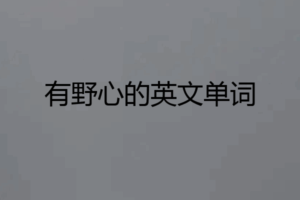 有野心的英文单词