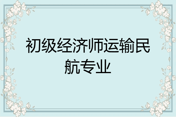 初级经济师运输民航专业