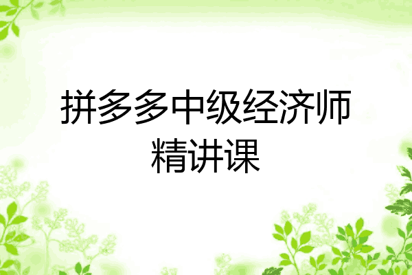 拼多多中级经济师精讲课