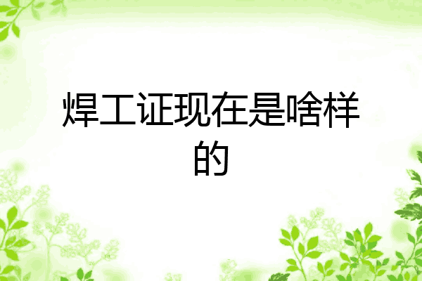 焊工证现在是啥样的