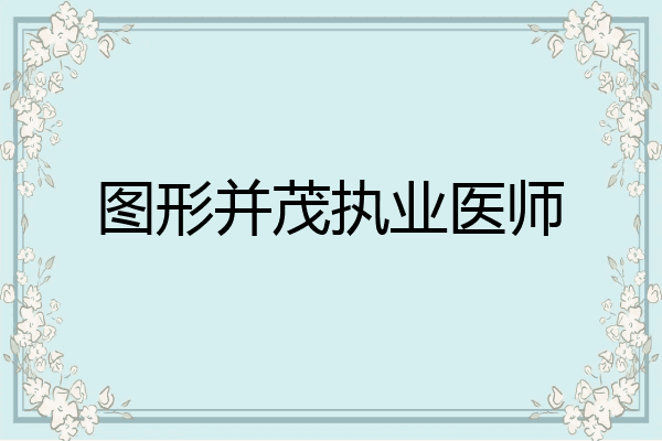 图形并茂执业医师