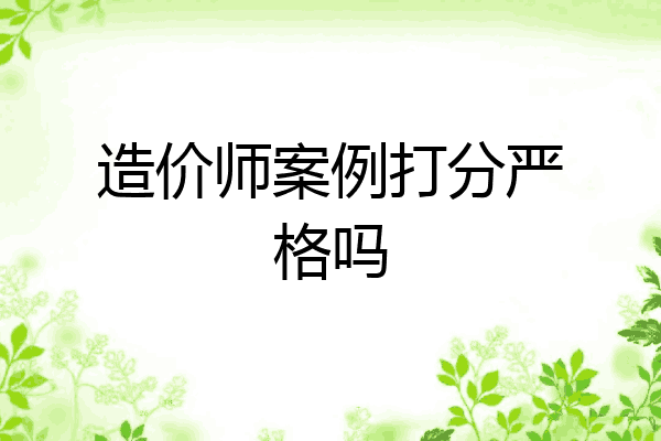 造价师案例打分严格吗
